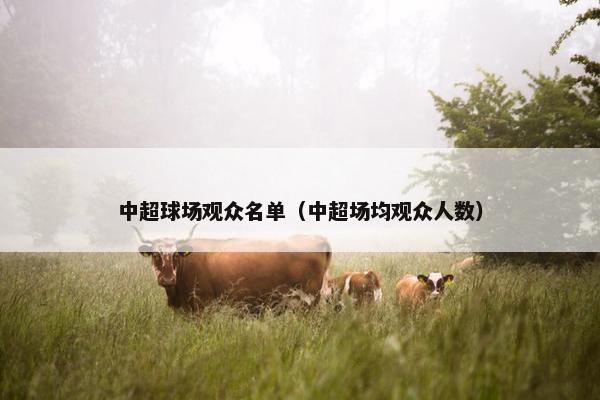 中超球场观众名单（中超场均观众人数）