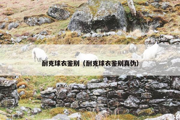 耐克球衣鉴别（耐克球衣鉴别真伪）