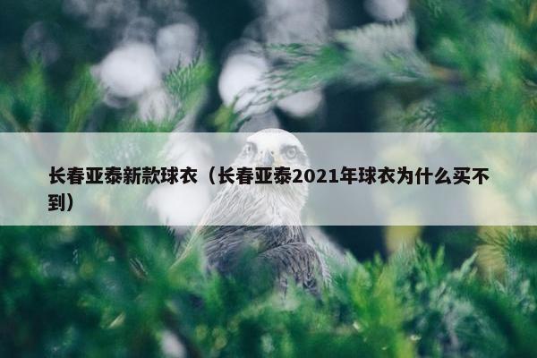 长春亚泰新款球衣（长春亚泰2021年球衣为什么买不到）
