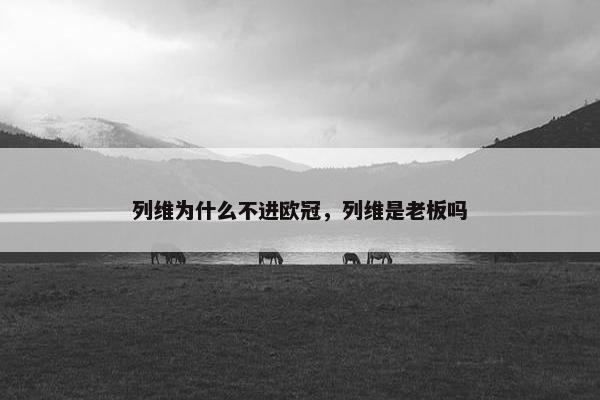 列维为什么不进欧冠，列维是老板吗