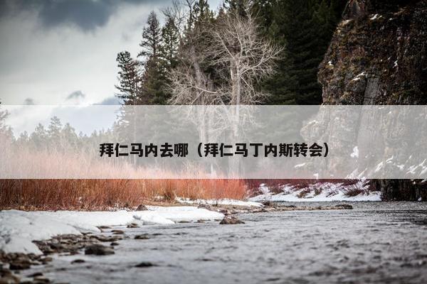 拜仁马内去哪（拜仁马丁内斯转会）