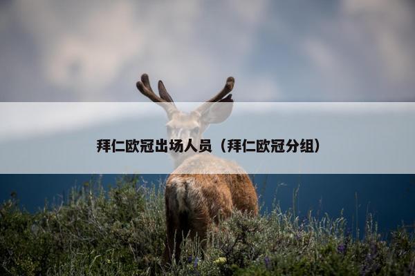 拜仁欧冠出场人员（拜仁欧冠分组）