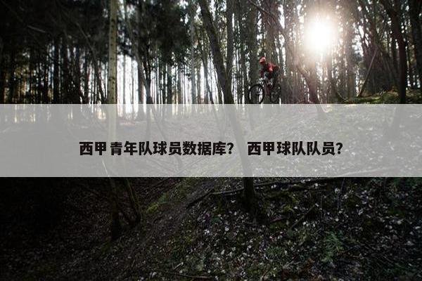 西甲青年队球员数据库？ 西甲球队队员？