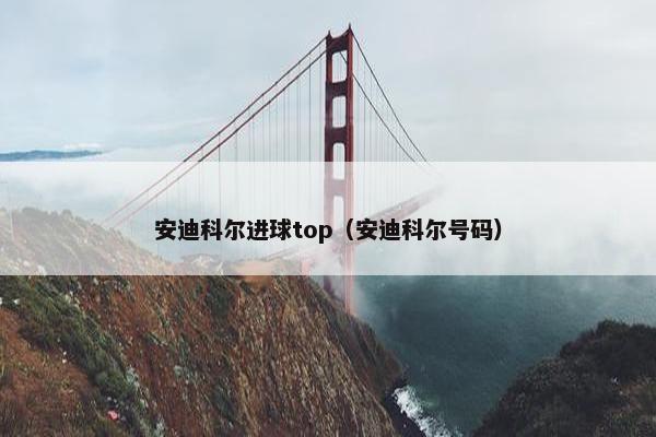 安迪科尔进球top（安迪科尔号码）