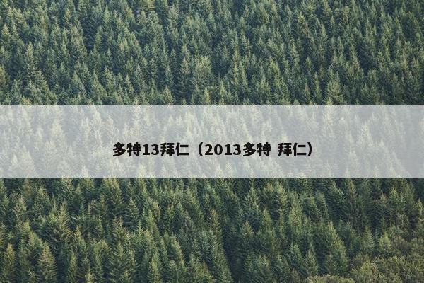多特13拜仁（2013多特 拜仁）