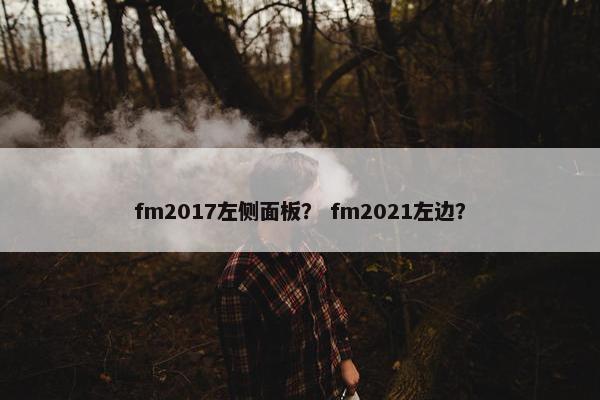 fm2017左侧面板？ fm2021左边？