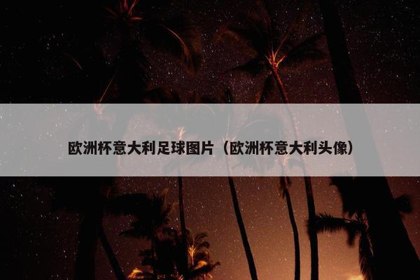 欧洲杯意大利足球图片（欧洲杯意大利头像）