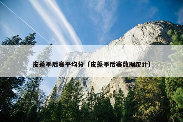 皮蓬季后赛平均分（皮蓬季后赛数据统计）