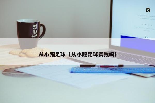 从小踢足球（从小踢足球费钱吗）