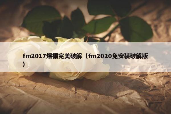 fm2017爆棚完美破解（fm2020免安装破解版）