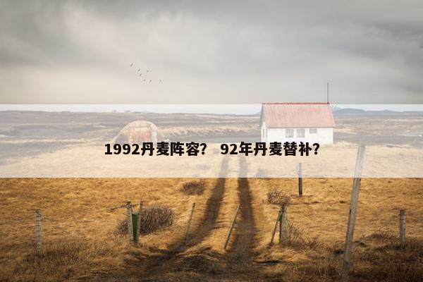 1992丹麦阵容？ 92年丹麦替补？