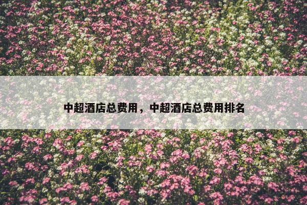 中超酒店总费用，中超酒店总费用排名