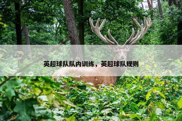 英超球队队内训练，英超球队规则