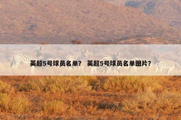 英超5号球员名单？ 英超5号球员名单图片？
