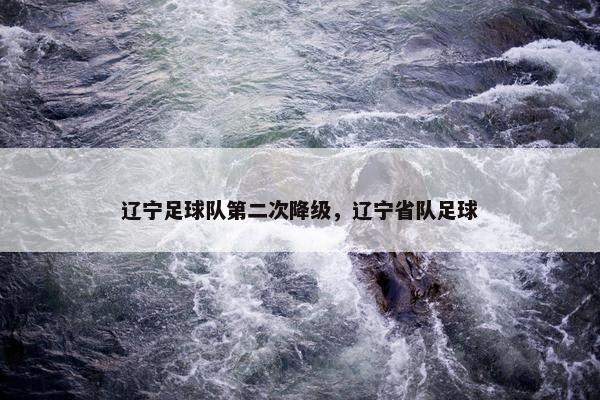 辽宁足球队第二次降级，辽宁省队足球
