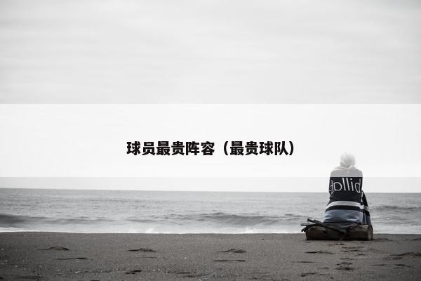 球员最贵阵容（最贵球队）