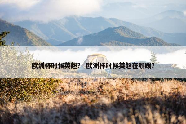 欧洲杯时候英超？ 欧洲杯时候英超在哪踢？