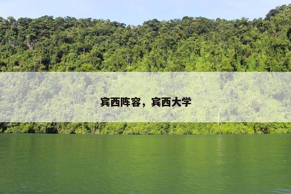 宾西阵容，宾西大学