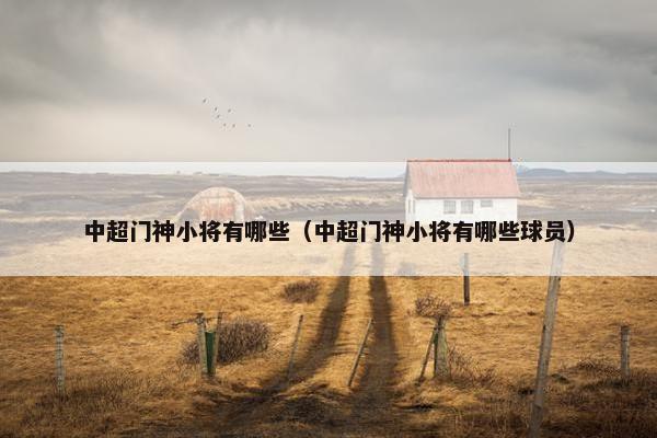 中超门神小将有哪些（中超门神小将有哪些球员）