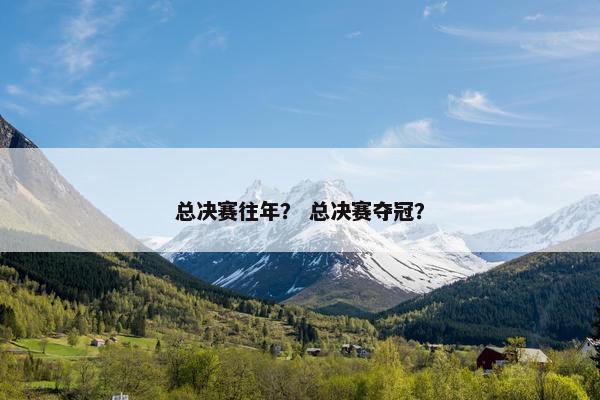总决赛往年？ 总决赛夺冠？